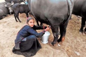 उम्र का कोई बंधन, नहीं रोक पाया नवलबेन की उड़ान